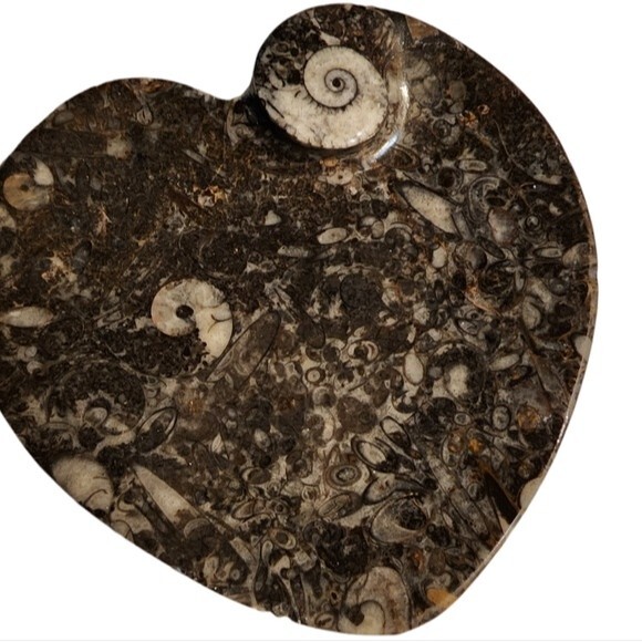 NWOT Gray Heart Shape Natural Stone Fossil Dish - Picture 7 of 9